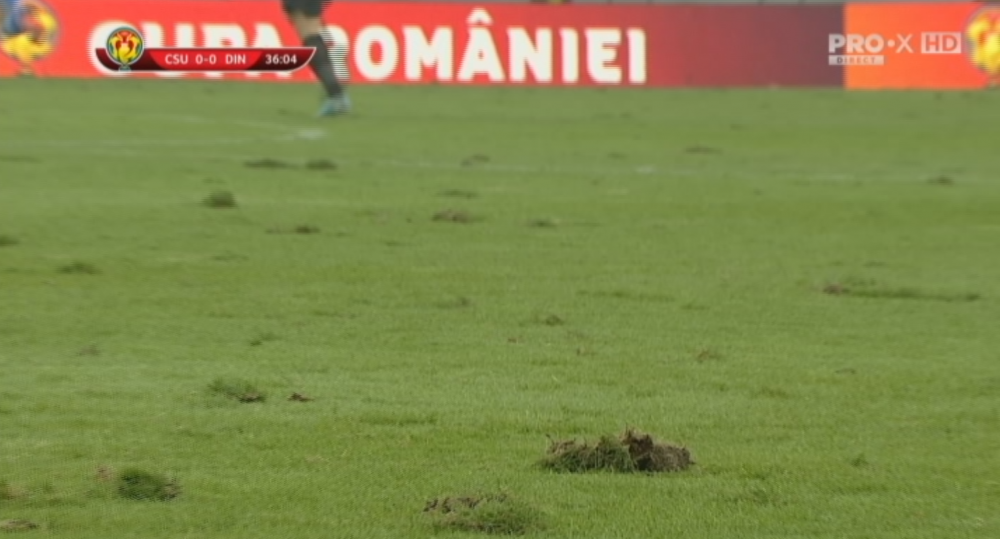 Concluzia HALUCINANTA dupa ce a fost analizat gazonul de la Craiova: E FOARTE BUN! :)) Ce se intampla cu terenul