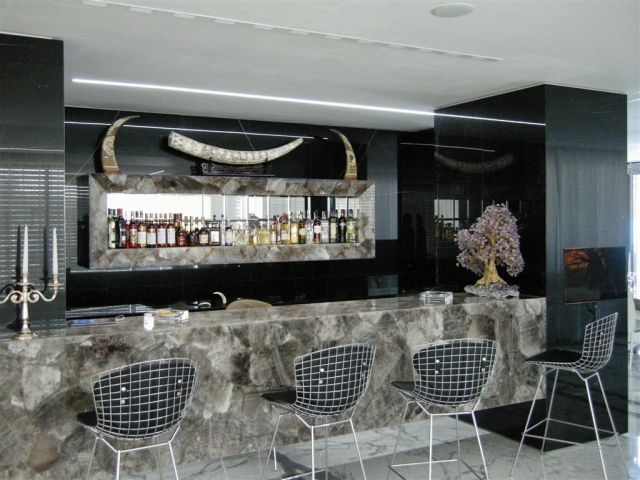 Cum arata casa impresionanta a lui Ion Tiriac! E decorata cu colti de elefanti, iar baia e cat doua apartamente! FOTO_1