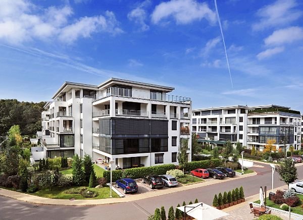 Cum arata casa impresionanta a lui Ion Tiriac! E decorata cu colti de elefanti, iar baia e cat doua apartamente! FOTO_2
