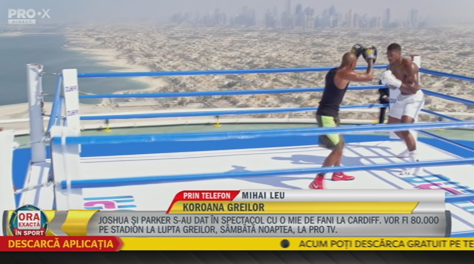 JOSHUA vs. PARKER, sambata la PRO TV // Ce pariaza campionii mondiali Leu si Doroftei pe acest meci: KO in runda a 6-a!