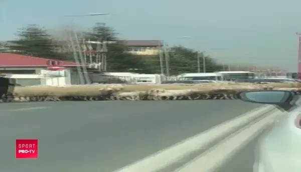 FABULOS! Becali, cu MATURA dupa oi in strada! Ce a facut azi in Pipera