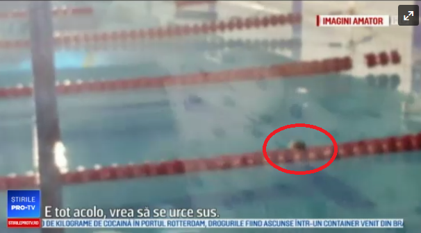 Ascundeti sobolanii, vine doamna ministru! :) Ce se intampla cu bazinul Lia Manoiu, dupa ce un sobolan a fost surprins inotand pe culoarul 7