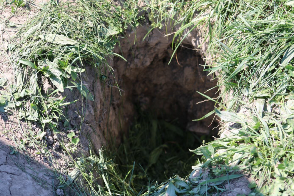 S-a jucat un meci OFICIAL pe acest teren! CAZ IREAL in Romania! Ce s-a intamplat pe gazon_6