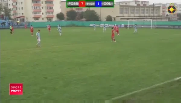 Gol fantastic Nedelcu