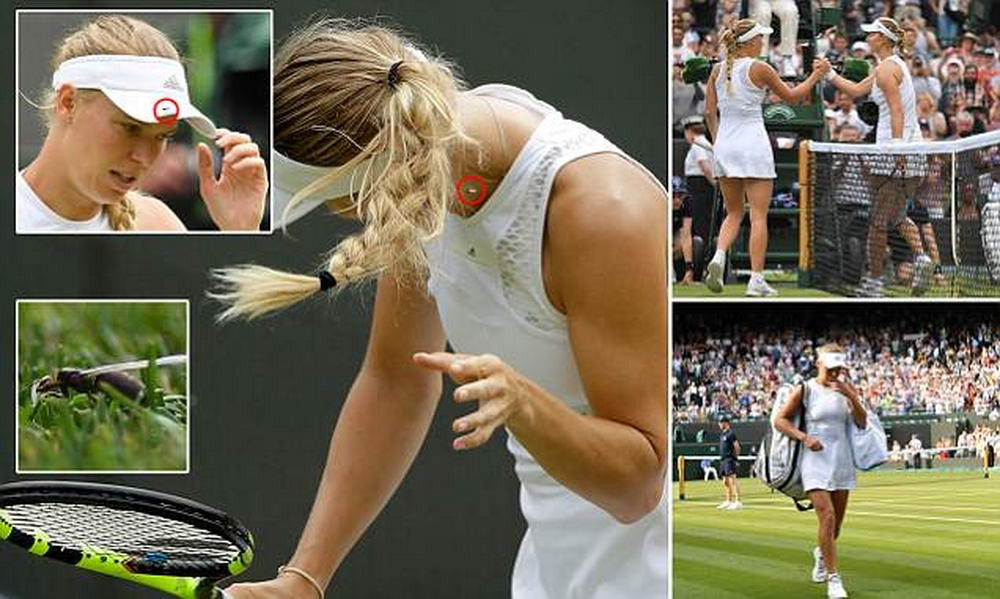 Wozniacki a RABUFNIT dupa eliminarea de la Wimbledon 2018: Suntem aici sa jucam tenis, nu sa MANCAM insecte!