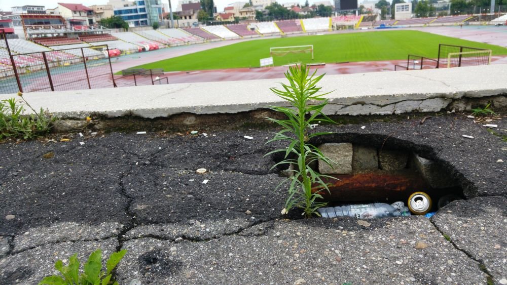 FOTO / In ce hal a ajuns baza Dinamo! Mizerie, ruine, inscriptii naziste si rasiste_2