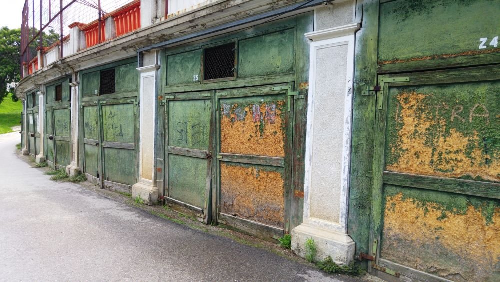 FOTO / In ce hal a ajuns baza Dinamo! Mizerie, ruine, inscriptii naziste si rasiste_5