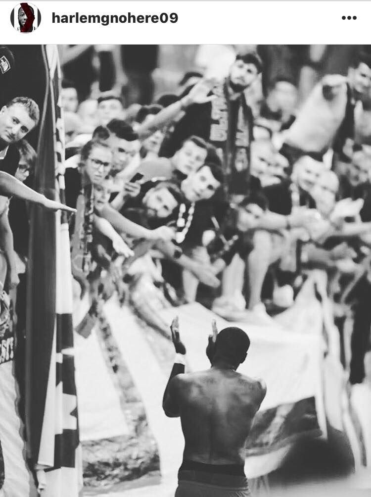Primul mesaj al lui Gnohere dupa eliminarea FCSB-ului din Europa! Ce urmeaza pentru Bizon