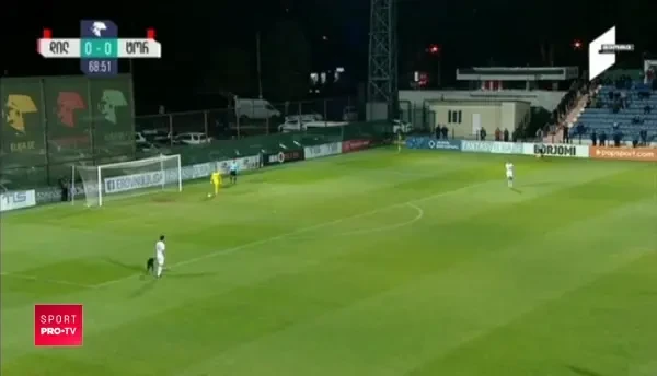 A vrut sa joace si el! Meci de prima liga, intrerupt de un caine intrat pe teren! VIDEO