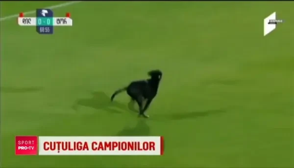 Nu se intampla doar in Romania! Cutzuliga campionilor a ajuns in Georgia :)