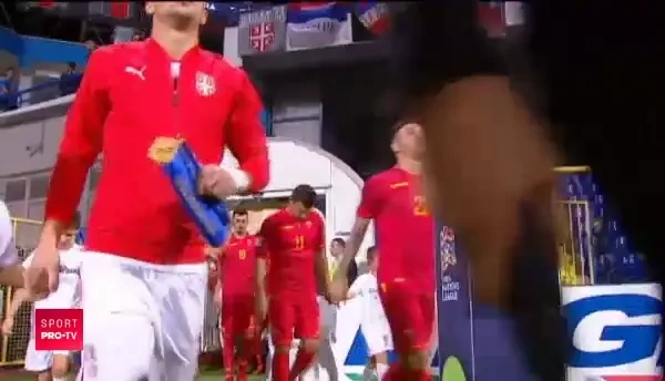 MUNTENEGRU - SERBIA REZUMAT