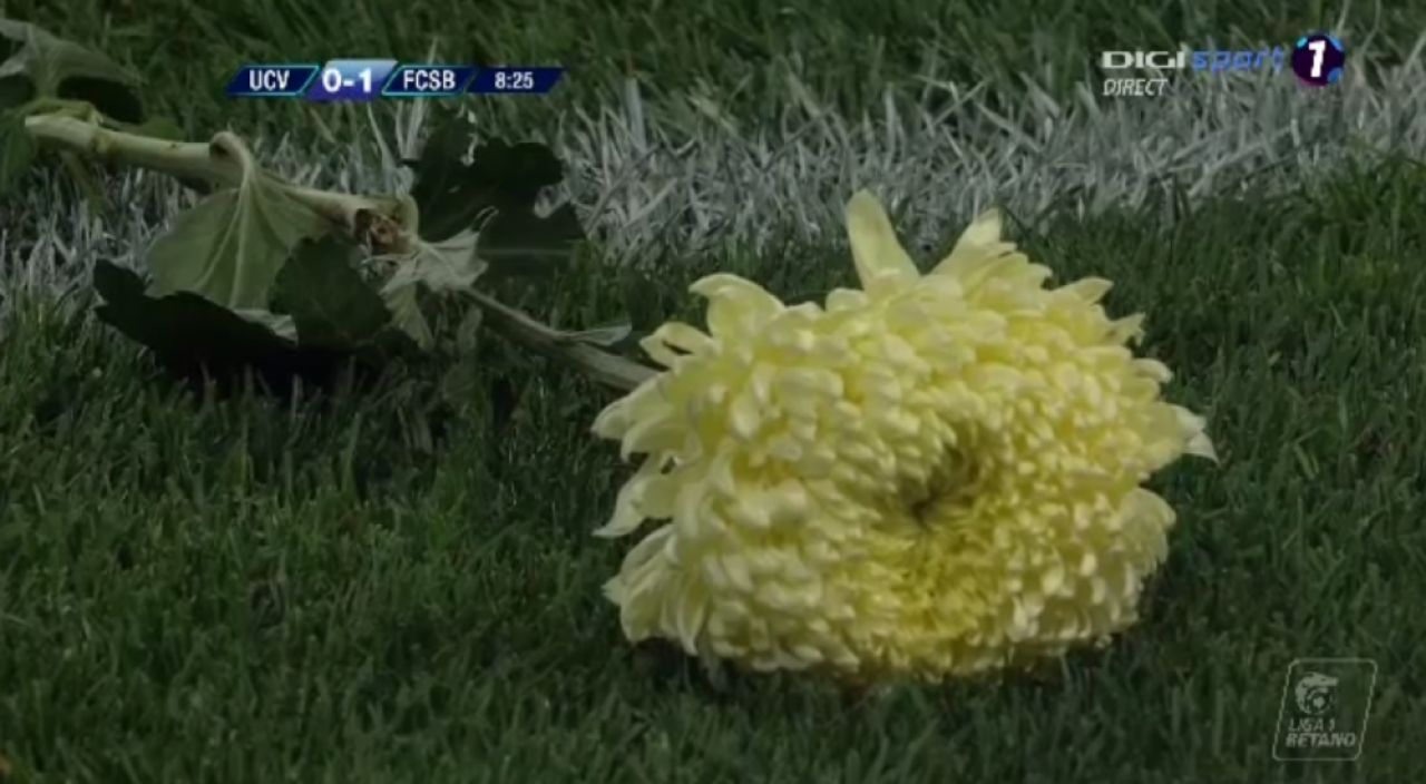 FOTO | FCSB a deschis scorul in minutul 8 la Craiova, cand partida trebuia intrerupta in memoria lui Ilie Balaci. Reactia incredibila a oamenilor din tribune_5