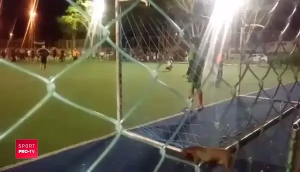 CAINELE care apara penalty! A aparut de nicaieri si l-a salvat pe portar! :) VIDEO AICI