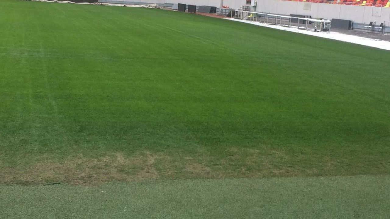 FOTO | Cum arata gazonul de pe Arena Nationala cu o zi inainte de FCSB - CFR! Reactia imediata a lui Becali_3