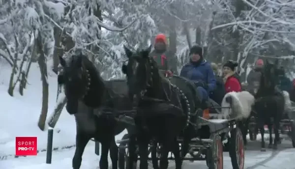 VIDEO | IMAGINI DEMENTIALE de la petrecerea lui Borcea! A inchiriat 4 trasuri si a facut pe birjarul