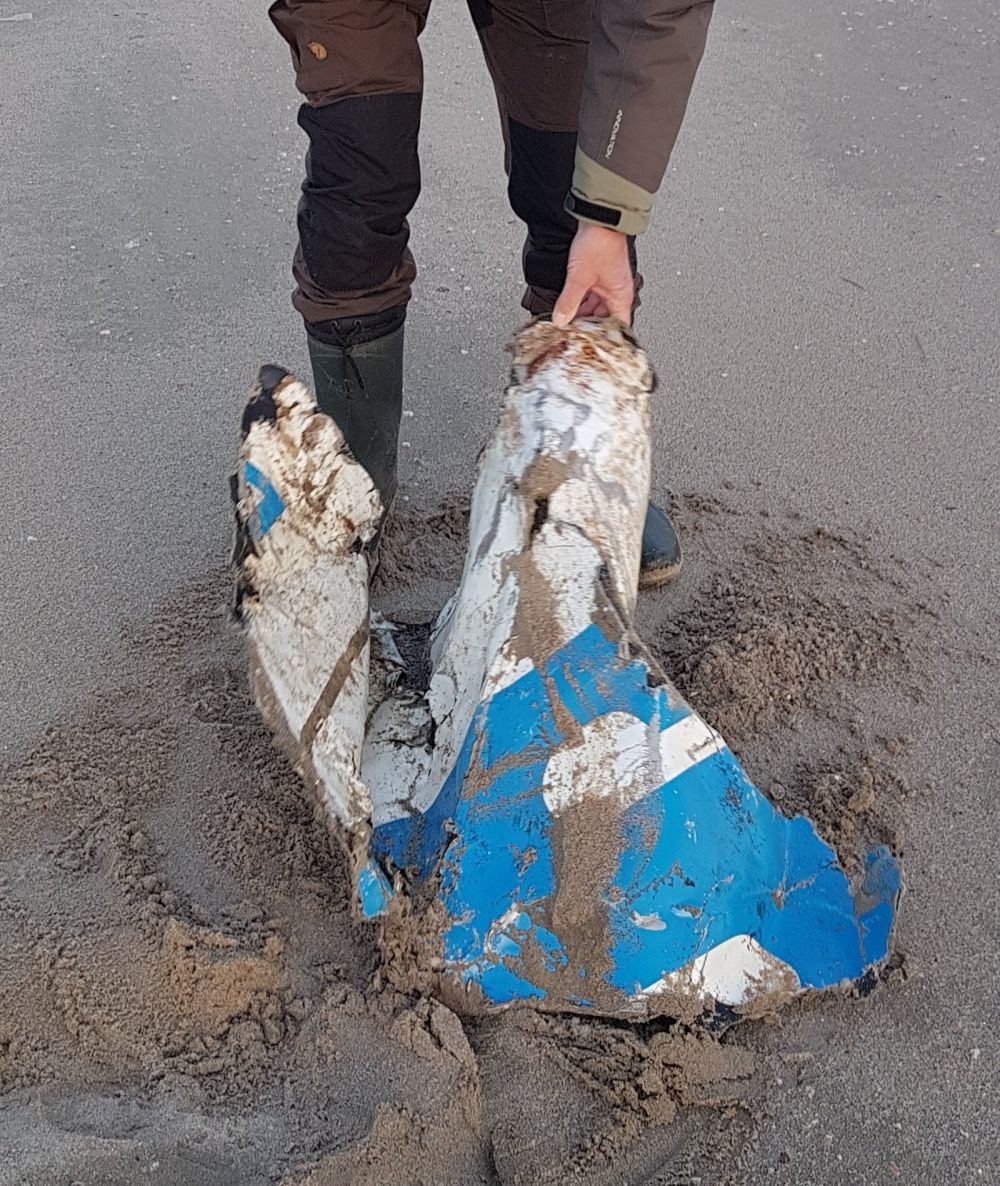 Cautarea lui Sala, AMANATA din cauza vremii nefavorabile! Anunt de ULTIMA ORA despre ramasitele gasite in Olanda. FOTO_5
