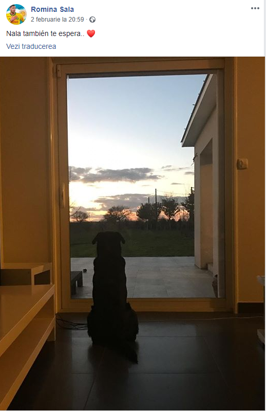 Emiliano Sala, asteptat de cel mai bun prieten! Imaginea sfasietoare postata de sora sa! 