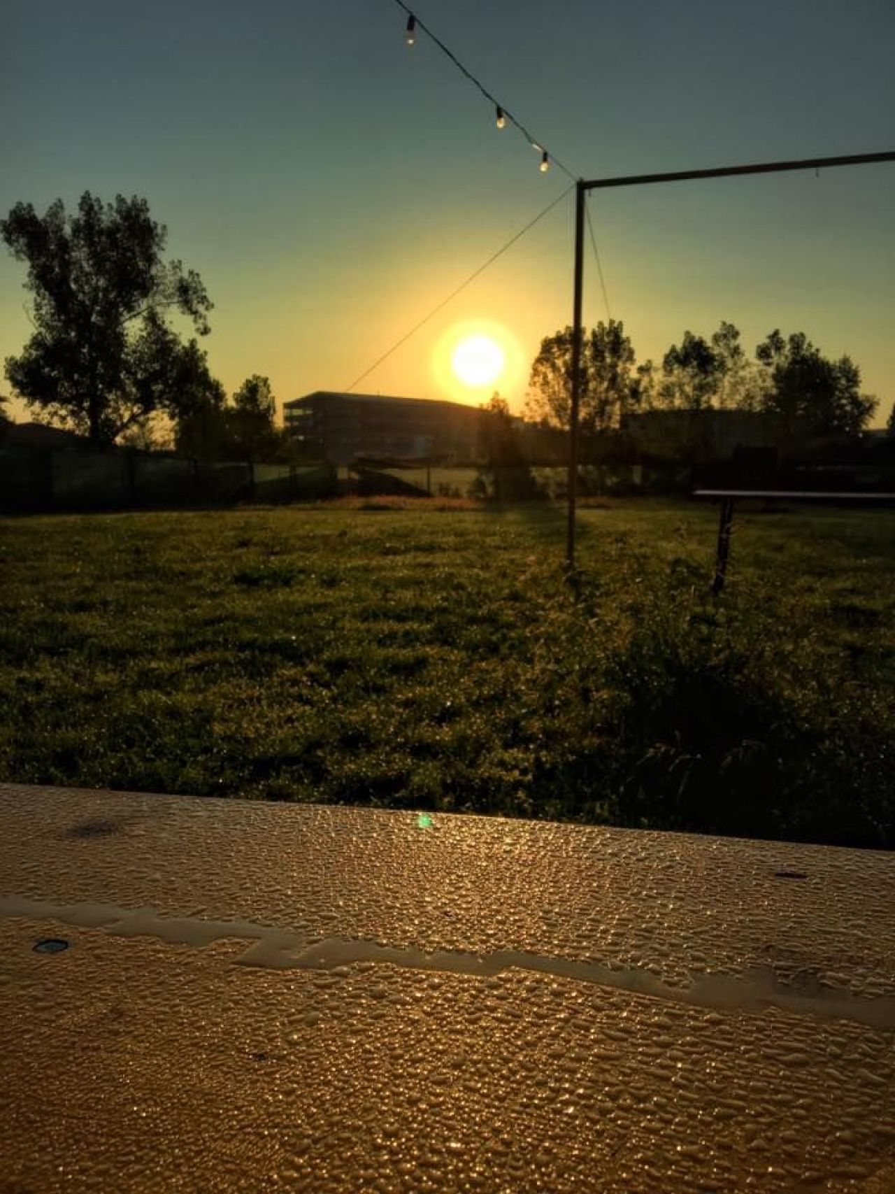 SPECIAL / Stadionul pe care trebuia sa se mute Dinamo a ajuns... adapost de caini. FOTO_1
