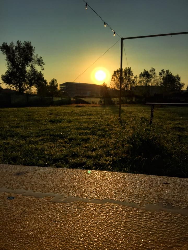 SPECIAL / Stadionul pe care trebuia sa se mute Dinamo a ajuns... adapost de caini. FOTO_1