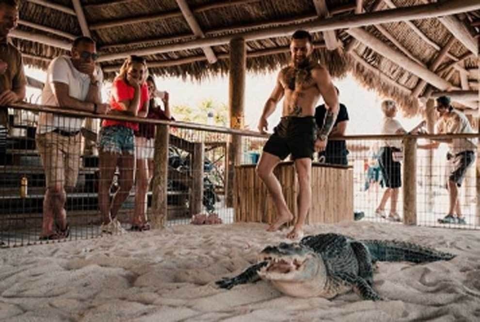 Imagini SOCANTE! Conor McGregor a intrat in ring cu un aligator! Galerie FOTO_3