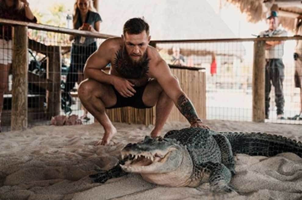Imagini SOCANTE! Conor McGregor a intrat in ring cu un aligator! Galerie FOTO_8
