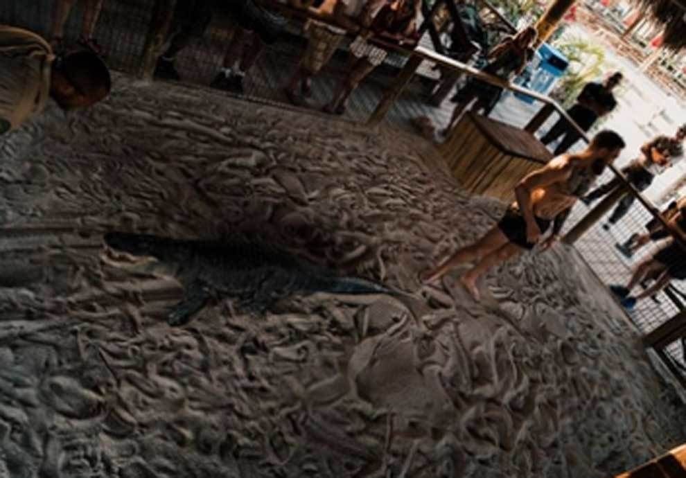 Imagini SOCANTE! Conor McGregor a intrat in ring cu un aligator! Galerie FOTO_11