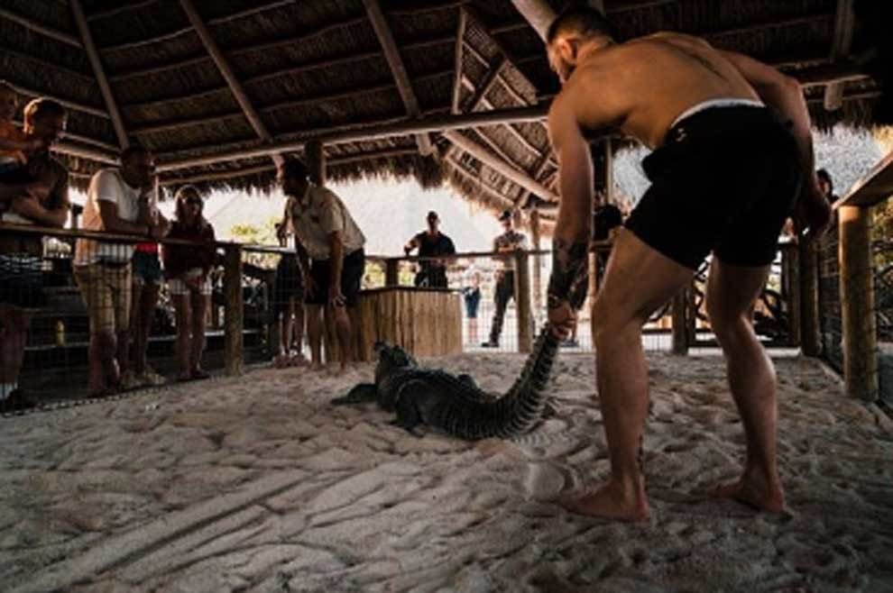 Imagini SOCANTE! Conor McGregor a intrat in ring cu un aligator! Galerie FOTO_10