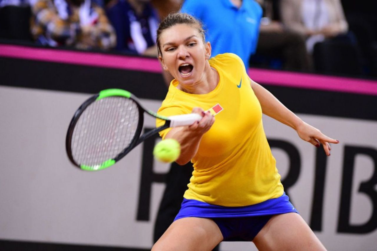 FRANTA - ROMANIA FED CUP |