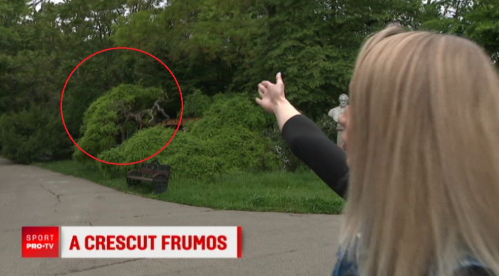 Sandra Izbasa la #ZI-LE LIBERE! Acesta este copacul din Herastrau in care a facut prima data gimnastica: