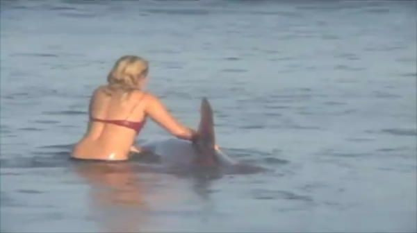 Surferita care a calarit un RECHIN! Imagini incredibile surprinse la malul marii. VIDEO