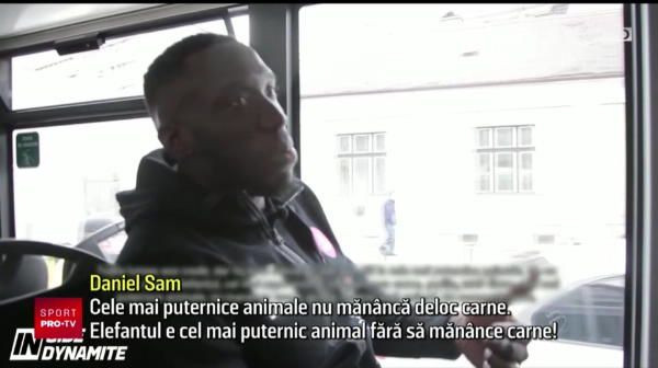 Razboinicul Sam e vegetarian: Cele mai puternice animale nu mananca deloc carne! Sam ii ofera revansa lui Morosanu, joi seara la ProTV, de la 23:30