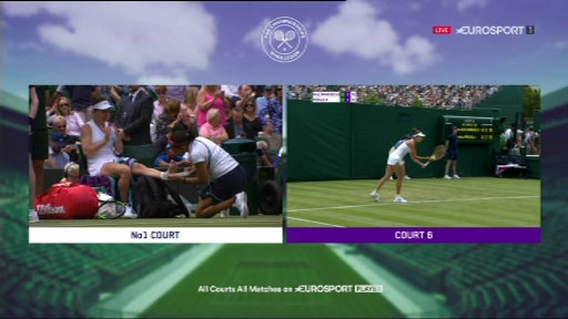 WIMBLEDON 2019: Simona Halep s-a ACCIDENTAT! Ce s-a intamplat la meciul cu Aliaksandra Sasnovich_3