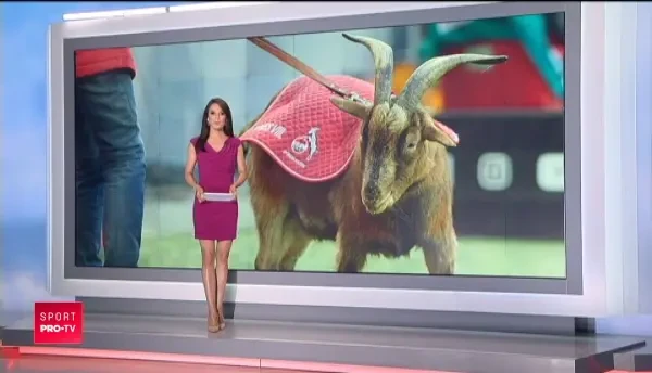 FC Koln il scoate la PENSIE pe țapul oficial al echipei! Cine ii va lua locul