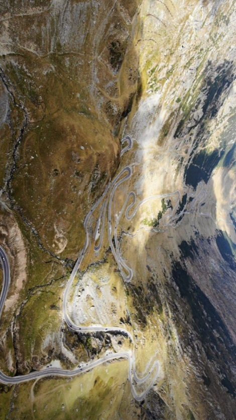 Fostul numarul 5 ATP s-a intalnit cu URSUL pe Transfagarasan: 