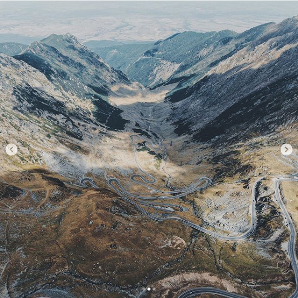 Fostul numarul 5 ATP s-a intalnit cu URSUL pe Transfagarasan: 