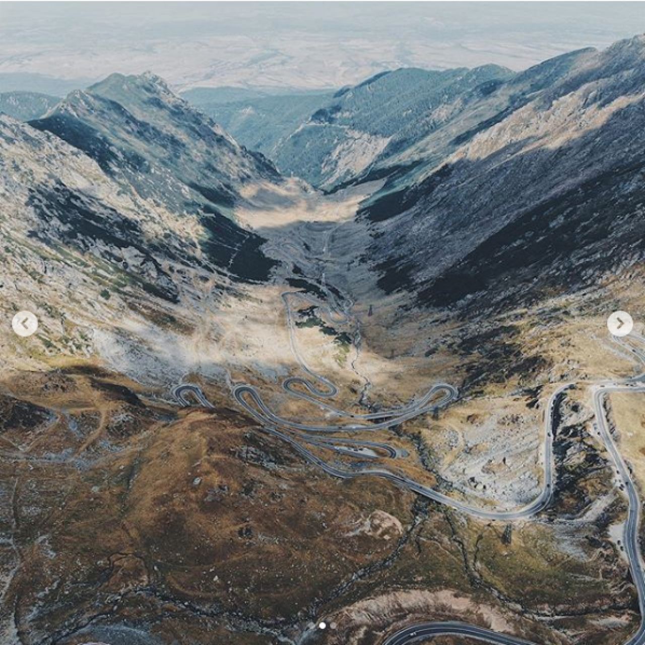 Fostul numarul 5 ATP s-a intalnit cu URSUL pe Transfagarasan: