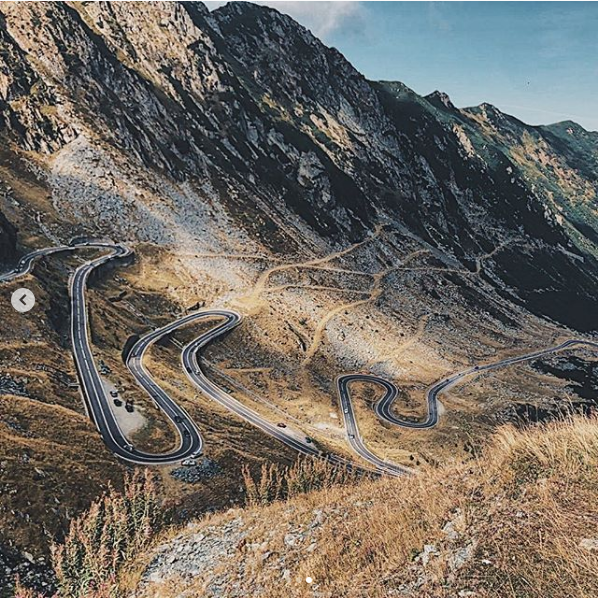 Fostul numarul 5 ATP s-a intalnit cu URSUL pe Transfagarasan: 