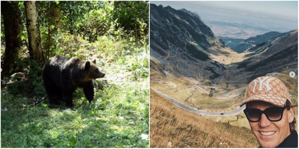 Fostul numarul 5 ATP s-a intalnit cu URSUL pe Transfagarasan: 