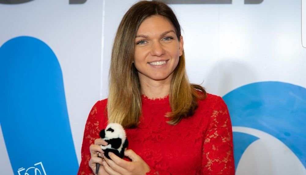 Halep, intr-o ipostaza inedita! S-a pozat alaturi de doi ursi panda mai inalti ca ea. Cand va juca primul meci la simplu romanca _3