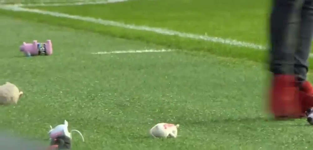 Figura lui Stanciu spune totul: fanii Spartei au arauncat cu SOBOLANI de plus pe gazon! Cum a reactionat romanul. VIDEO