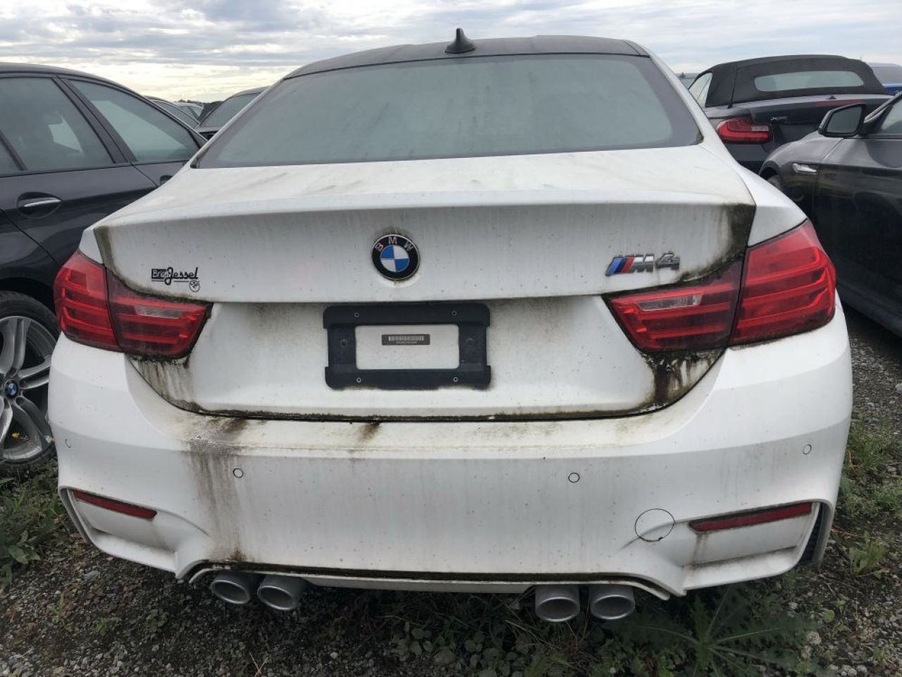 Campul cu peste 3000 de BMW-uri noi abandonate! Motivul pentru care masinile ruginesc de ani de zile. FOTO_3