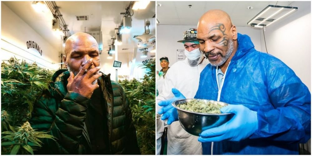 Faza săptămânii la Miami: un bodyguard „l-a arestat” pe Mike Tyson, în timpul meciului Azarenka - Putintseva_7