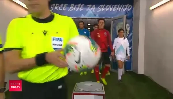 REZUMAT SLOVENIA AUSTRIA