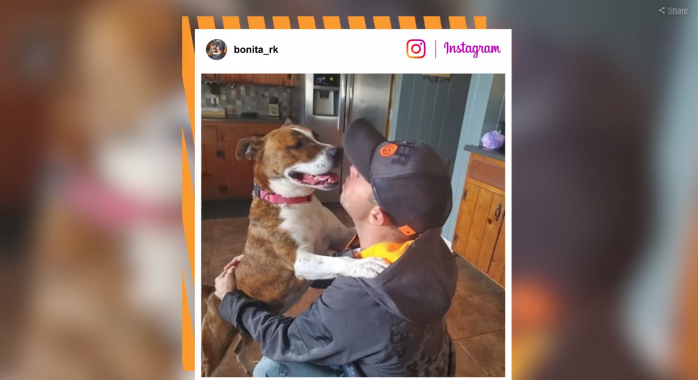 Ce s-a intamplat dupa ce un pitbull a fost tinut 500 de zile intr-un adapost pentru caini abandonati!