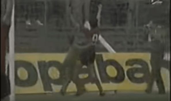 L-a imbratisat prin plasa pe Piturca la meciul cu Anderlecht si Miron Cozma l-a batut pe Danut Lupu dupa ce il faultase_6