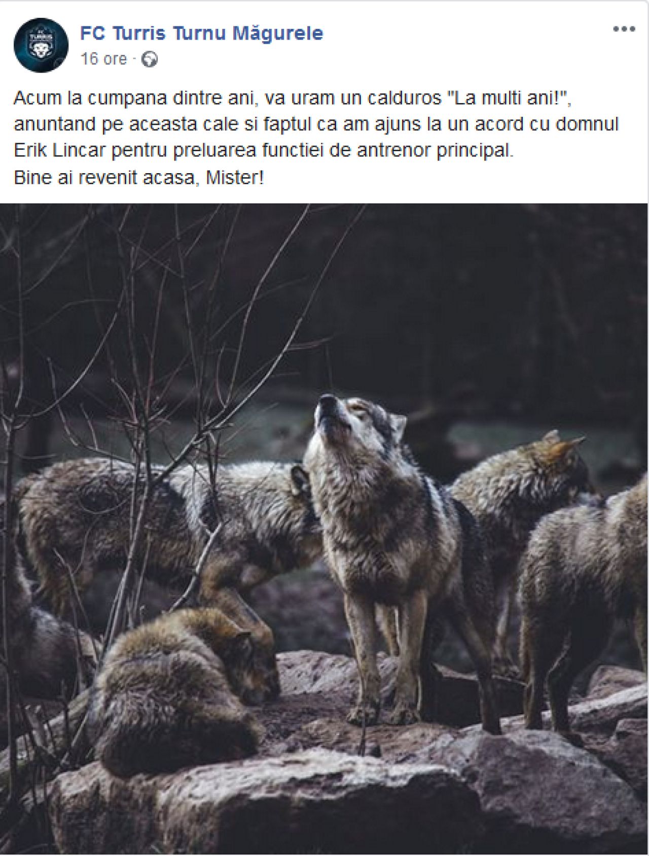Din MAGIA fotbalului romanesc! Dat afara in sunetele haitei de lupi, Lincar a fost prezentat la miezul noptii: