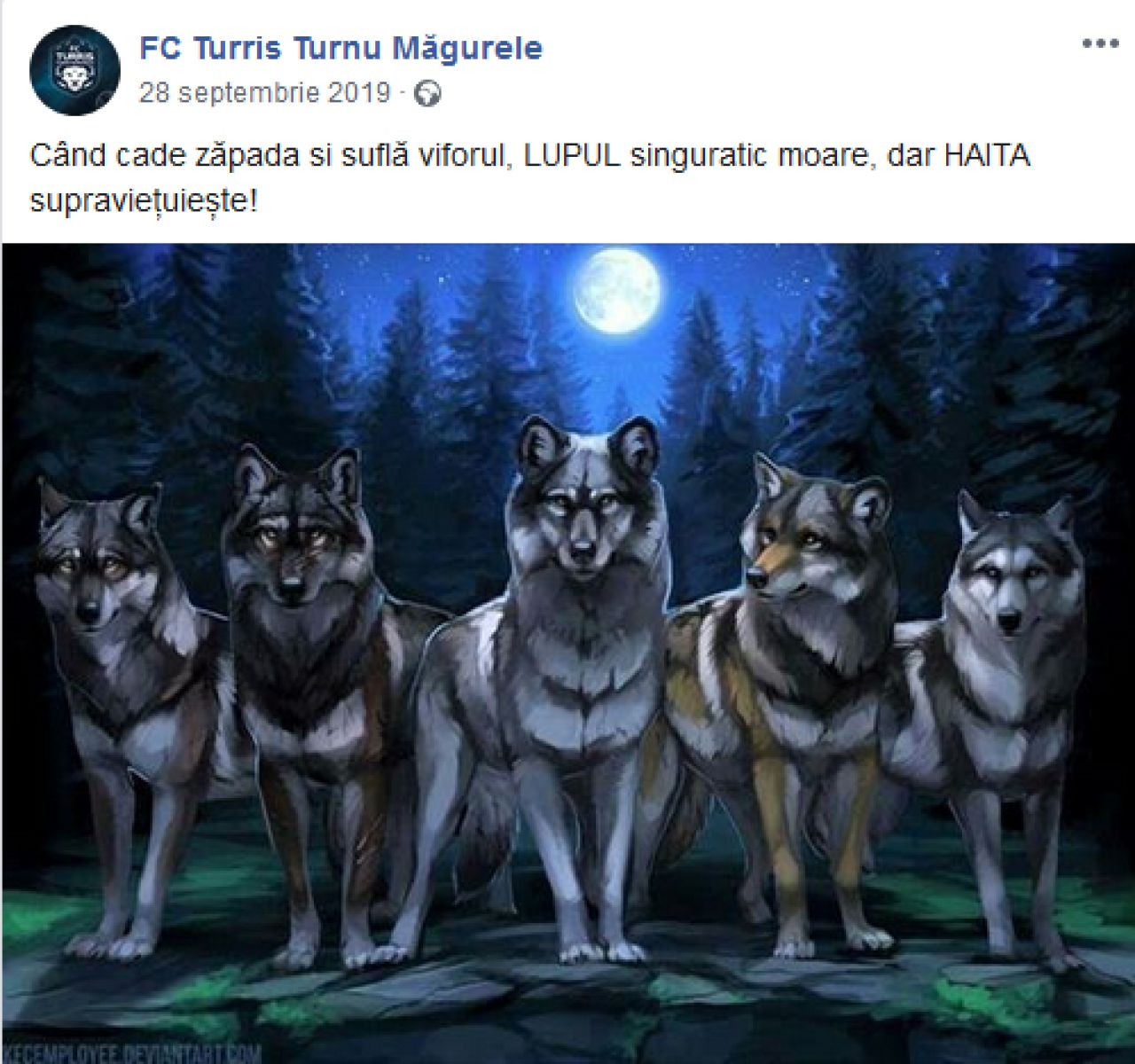 Din MAGIA fotbalului romanesc! Dat afara in sunetele haitei de lupi, Lincar a fost prezentat la miezul noptii: