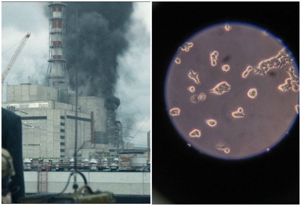 Catastrofa de la Cernobil, comparata cu pandemia de coronavirus: Acum e mai multa panica! &nbsp;