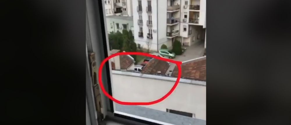 Clipul care face inconjurul lumii! Da, SE POATE! Cum iti plimbi cainele de companie pe afara FARA sa iesi din casa in timpul pandemiei de coronavirus