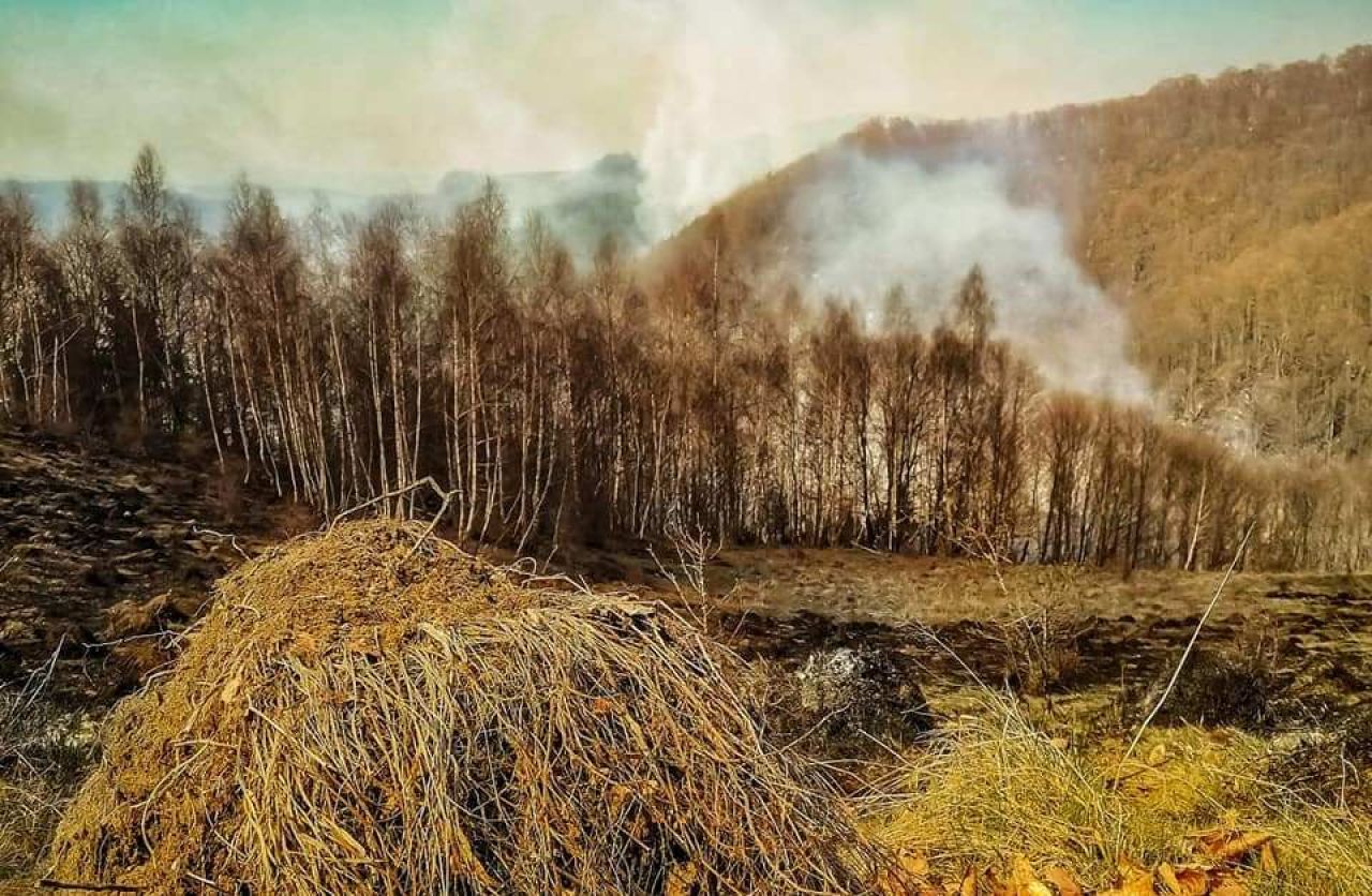 Tragedie imensa in Hunedoara. O persoana a murit arsa si un incendiu urias mistuie dezlantuit padurile din judet!_1